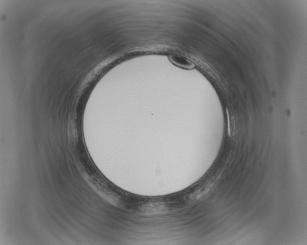 X0000079310252200612151759