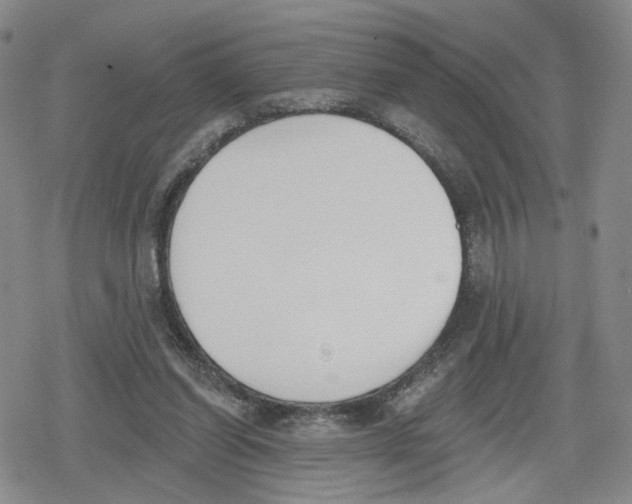 X0000079310254200612151759