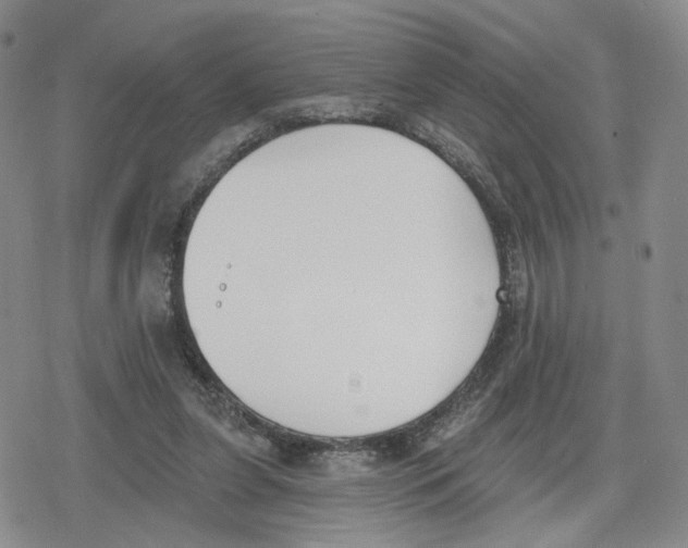 X0000079310255200612151759