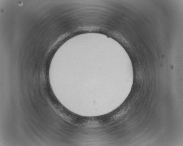 X0000079310256200612151759