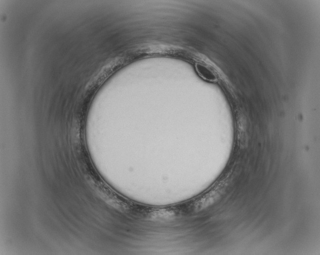 X0000079310257200612151759