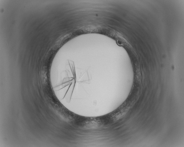 X0000079310259200612151759