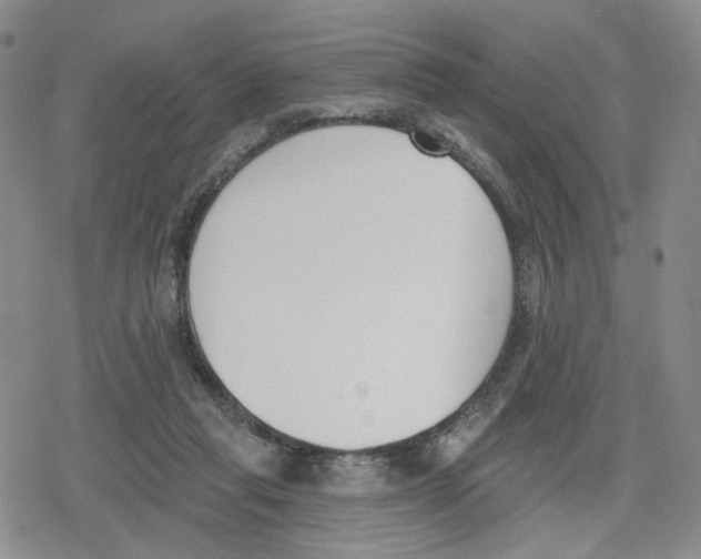 X0000079310261200612151759