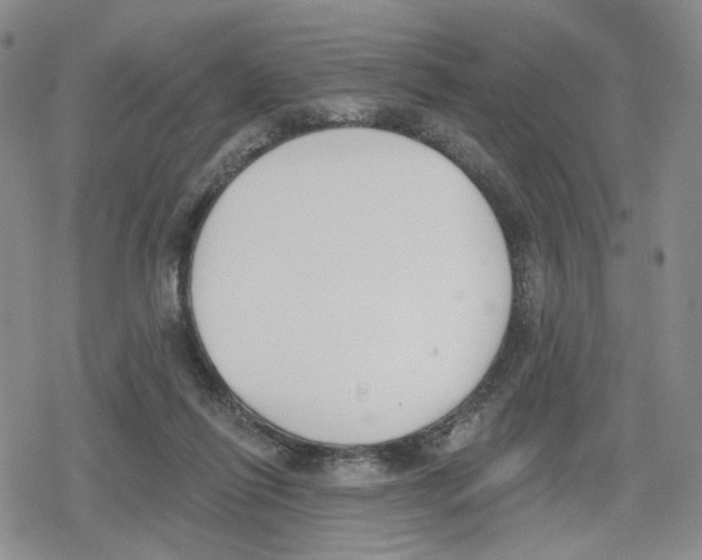 X0000079310262200612151759