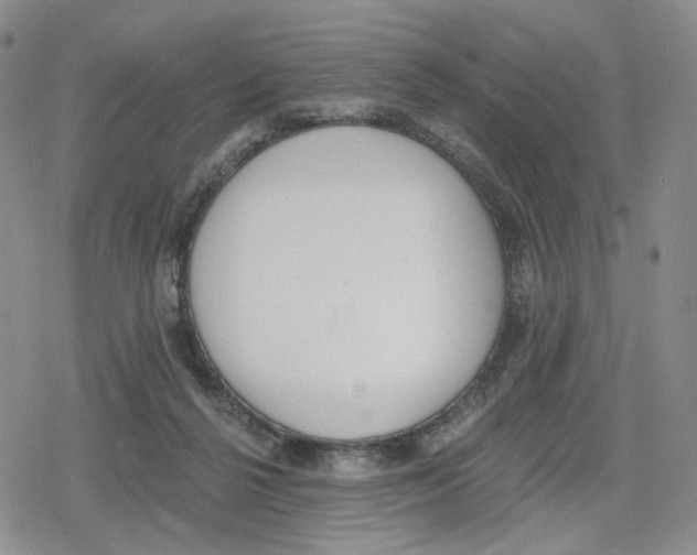 X0000079310264200612151759