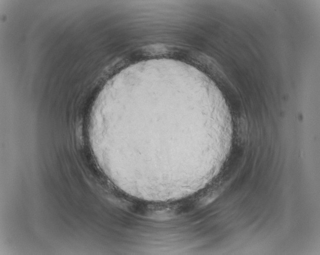 X0000079310267200612151759