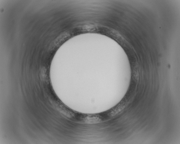 X0000079310270200612151759