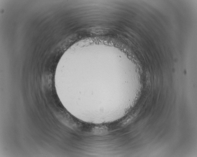 X0000079310271200612151759