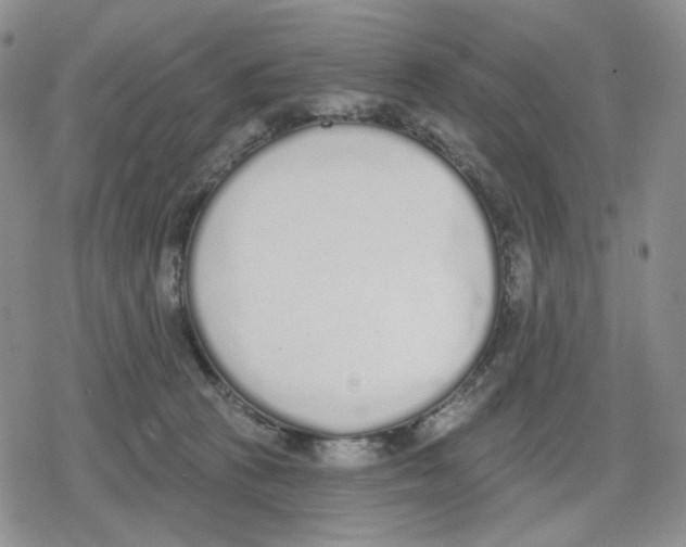 X0000079310273200612151759