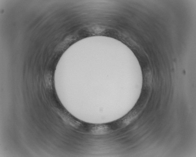 X0000079310274200612151800