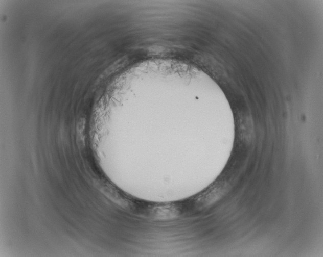 X0000079310275200612151800