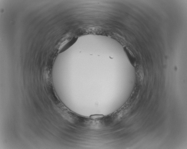 X0000079310276200612151800