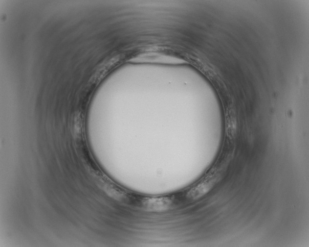 X0000079310277200612151800