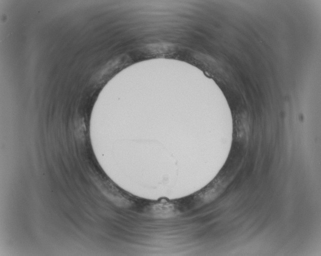 X0000079310279200612151800