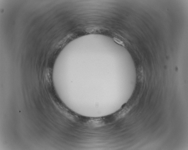 X0000079310280200612151800