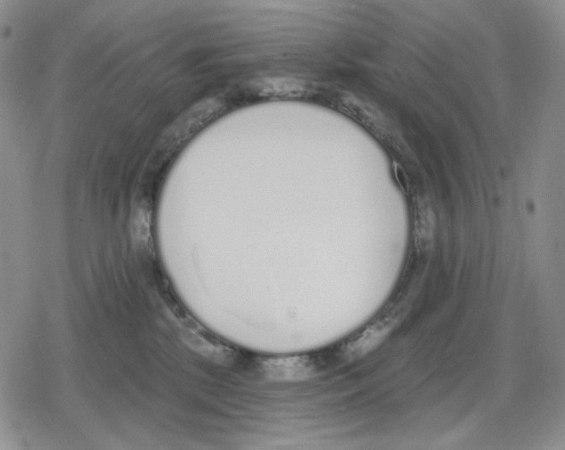 X0000079310281200612151800