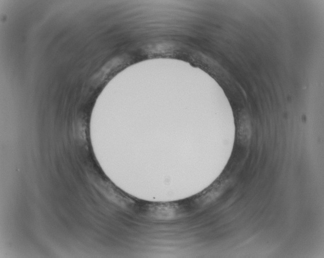 X0000079310282200612151800