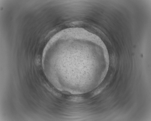 X0000079310284200612151800