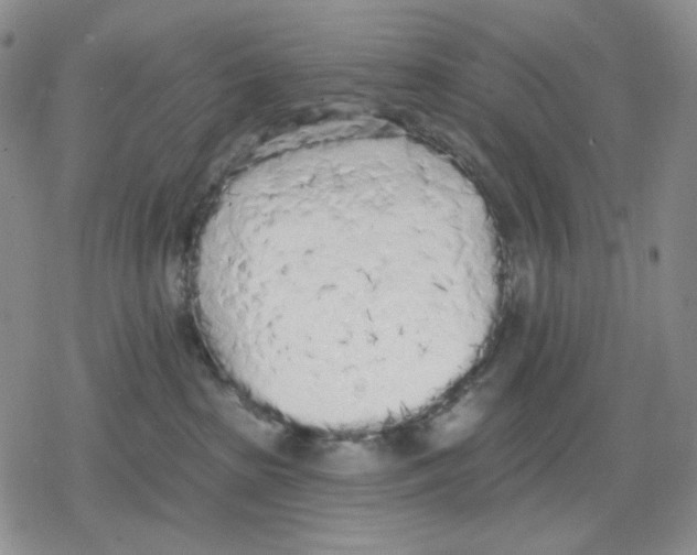 X0000079310285200612151800