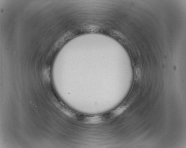 X0000079310286200612151800