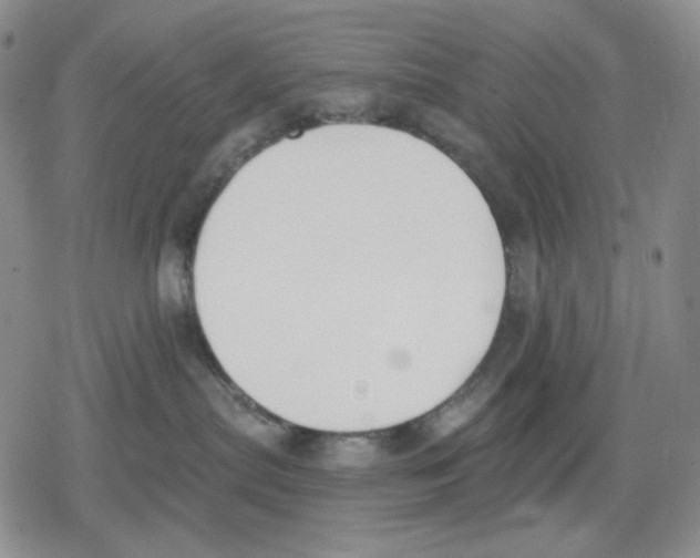 X0000079310287200612151800