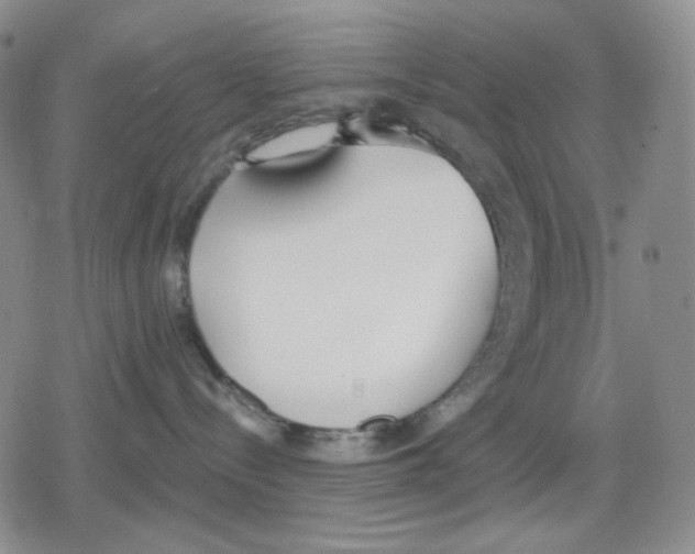 X0000079310288200612151800