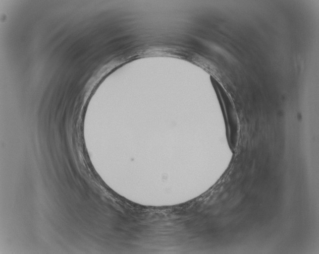 X0000079310289200612151759