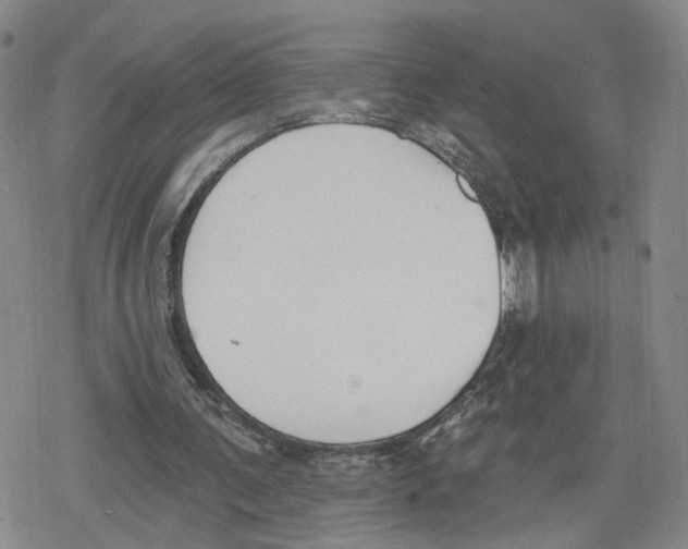 X0000079310291200612151759