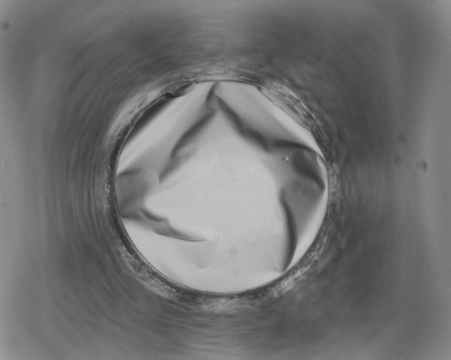 X0000079310293200612151759