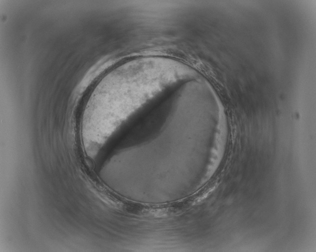 X0000079310295200612151759