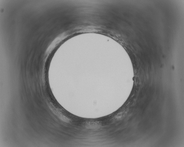 X0000079310296200612151759