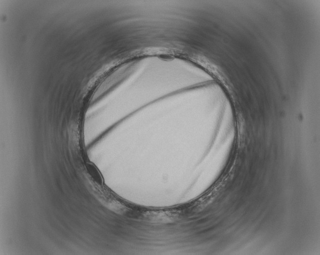 X0000079310297200612151759