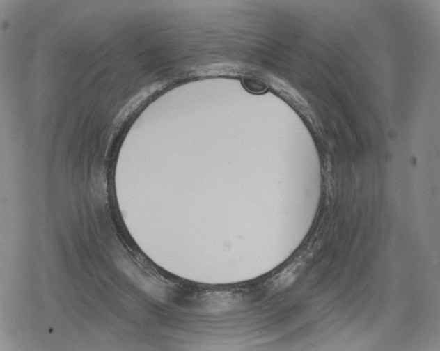 X0000079310298200612151759