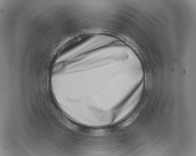 X0000079310301200612151759