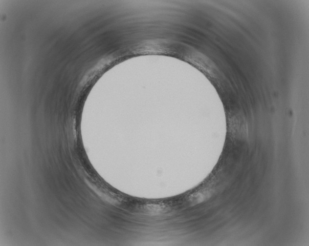 X0000079310302200612151759