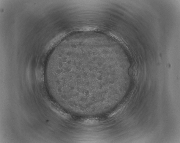 X0000079310303200612151759