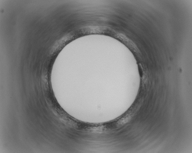 X0000079310306200612151759