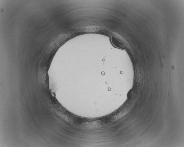 X0000079310307200612151759