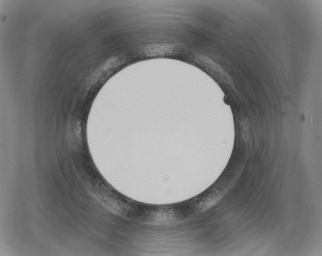 X0000079310308200612151759