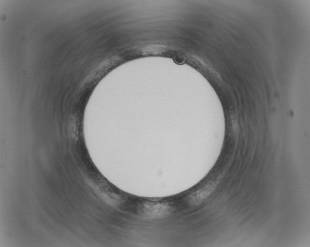 X0000079310311200612151759