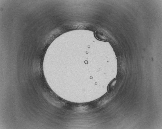 X0000079310312200612151759