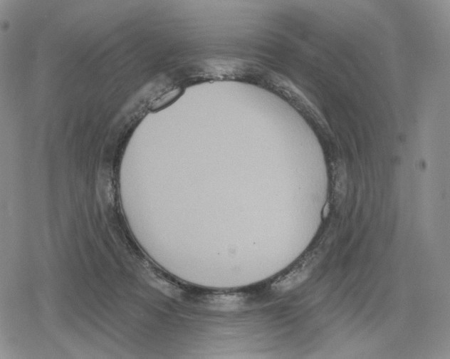 X0000079310313200612151759