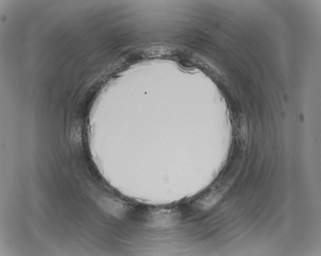 X0000079310315200612151759