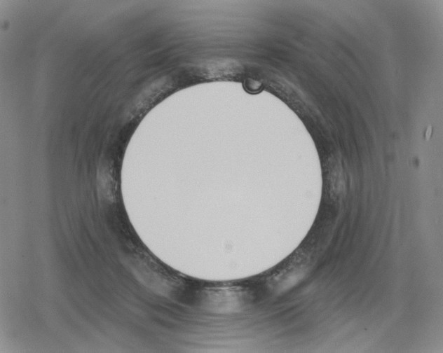 X0000079310316200612151759