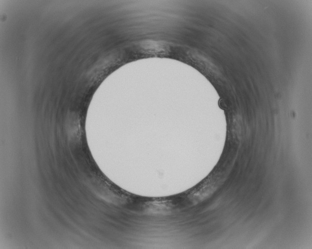 X0000079310320200612151758