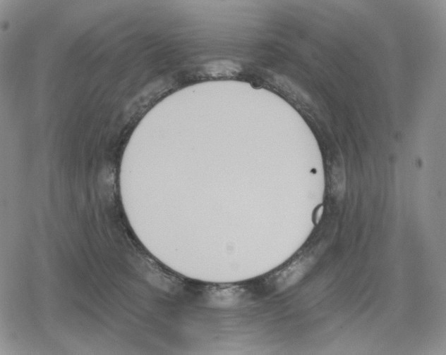 X0000079310321200612151758