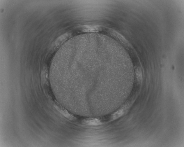 X0000079310322200612151758