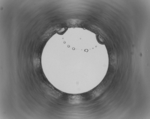 X0000079310324200612151758