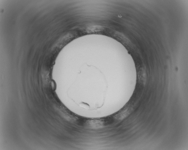 X0000079310327200612151758