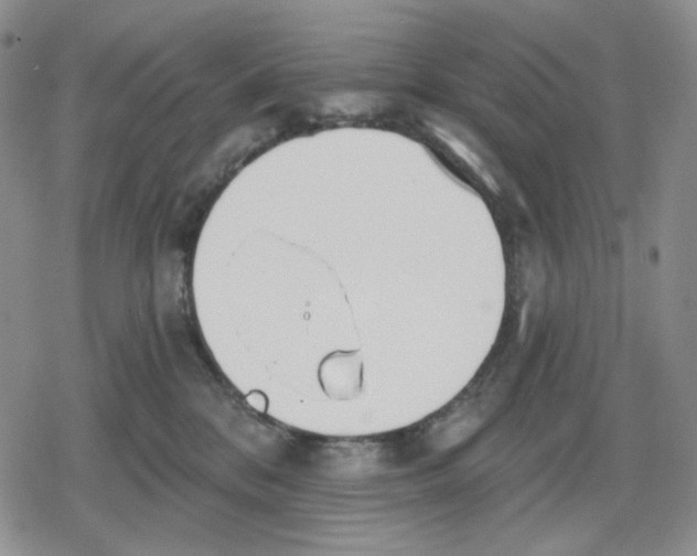 X0000079310328200612151758